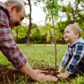 Particuliers : commandez vos arbres