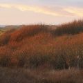 [consultation publique] Projet de Réserve naturelle régionale