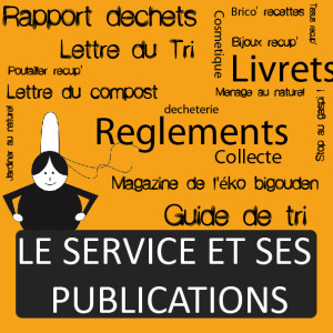 Icone service et publications v2