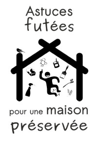 Icone astuces futees pour une maison preservee