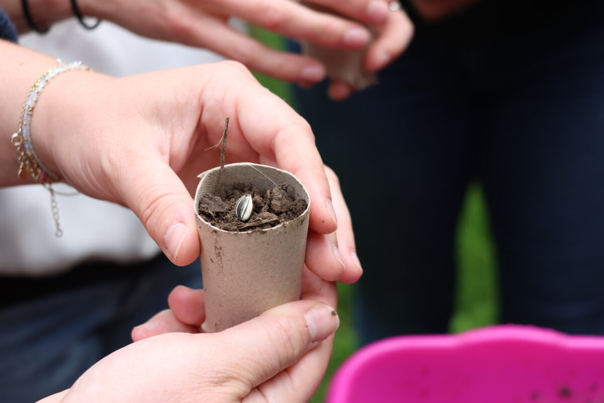 Compostage et jardinage - CCHPB
